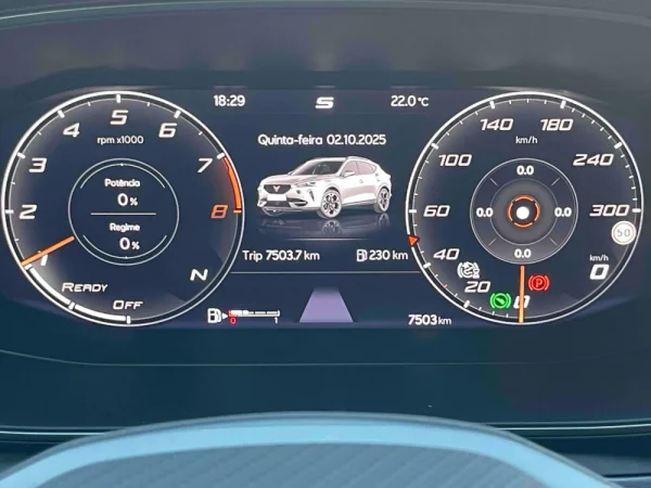 Cupra Formentor 2.5 TSI DSG 4Drive VZ5 46