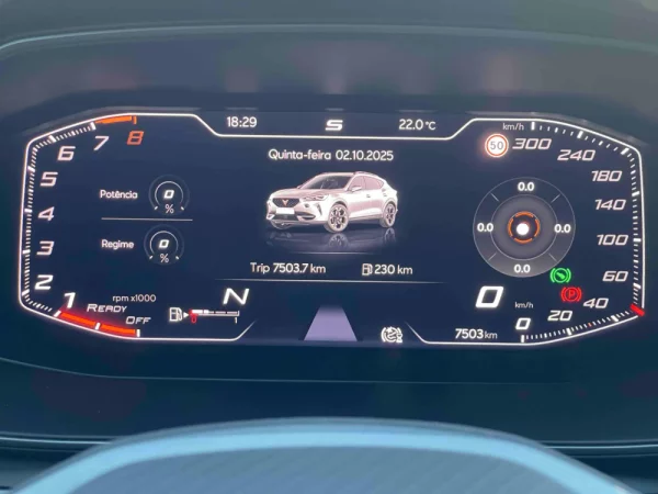 Cupra Formentor 2.5 TSI DSG 4Drive VZ5 47