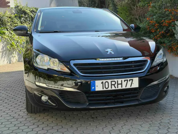 Peugeot 308 1.6 BlueHDi Style 2