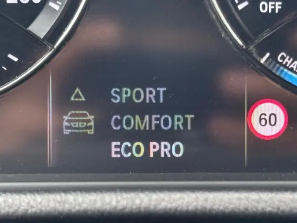 BMW X2 16 d sDrive Auto Advantage 42