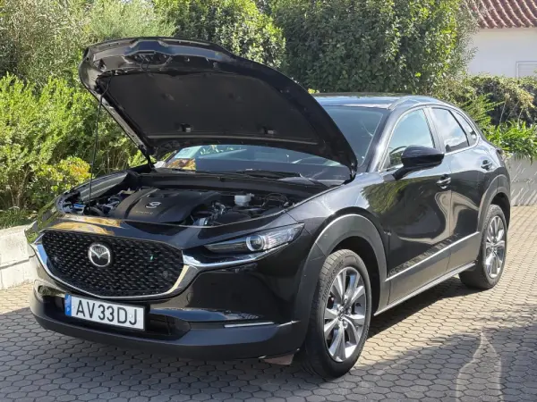 Mazda CX-30 2.0 Sky-G Evolve AT i-Active 17