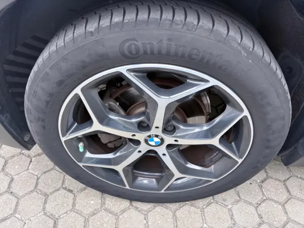 BMW X2 16 d sDrive Auto Advantage 12