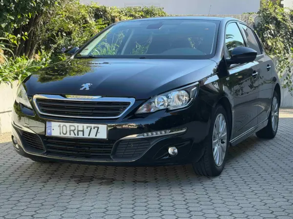 Peugeot 308 1.6 BlueHDi Style 12