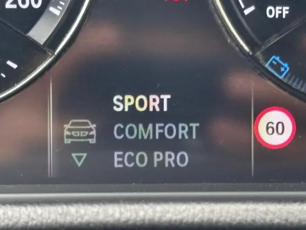 BMW X2 16 d sDrive Auto Advantage 40