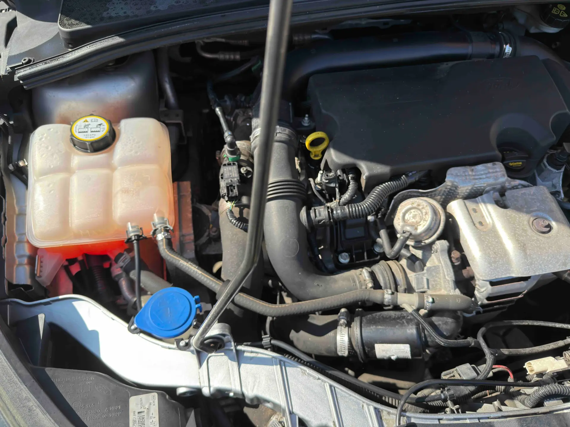 Ford Focus 1.0 SCTi Trend 19