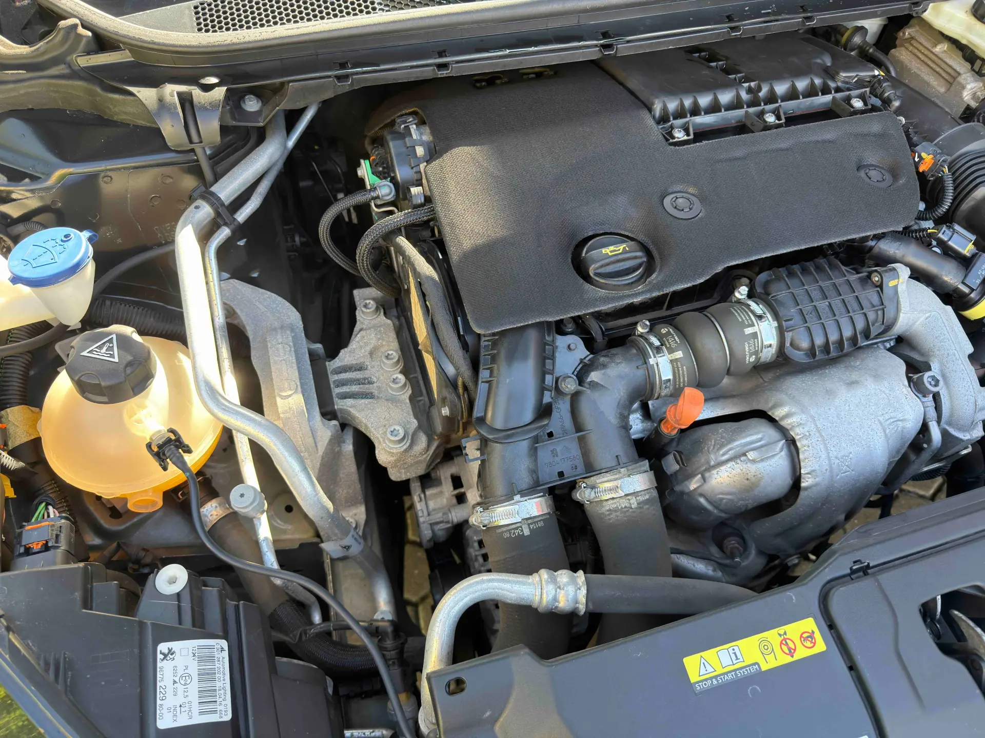 Peugeot 308 1.6 BlueHDi Style 19