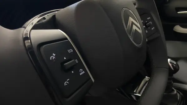 Citroën C3 1.2 PureTech Max 28