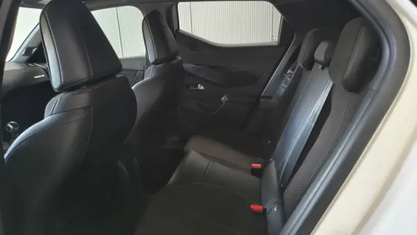 DS DS3 Crossback PureTech 100 PERFORMANCE LINE 15