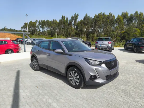 Peugeot 2008 PureTech 100 Active 3