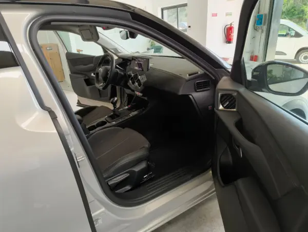 DS DS3 Crossback PureTech 100 PERFORMANCE LINE 12