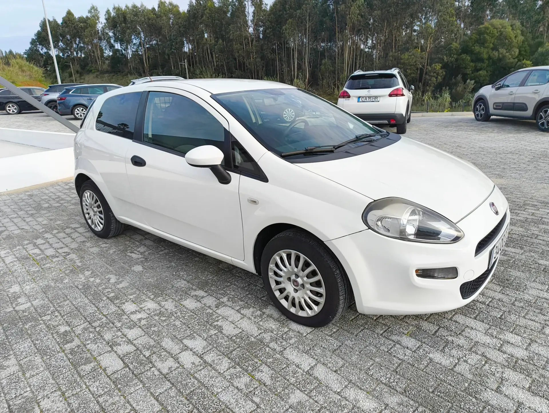 Fiat Punto Evo 1.3 M-Jet Active 3