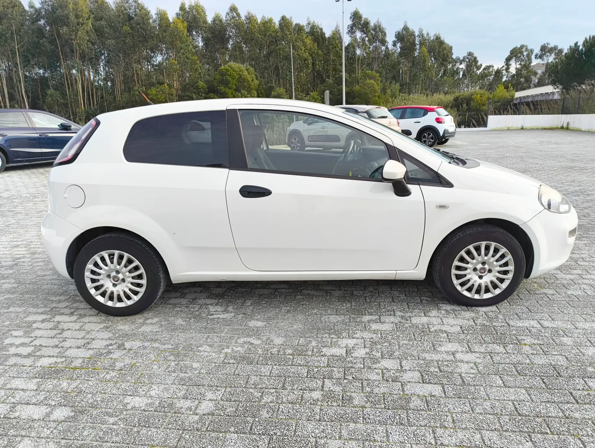 Fiat Punto Evo 1.3 M-Jet Active 4
