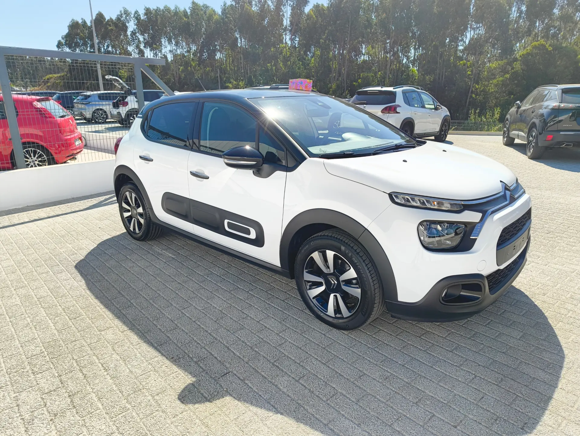 Citroen C3 Pure Tech S&S Shine 3