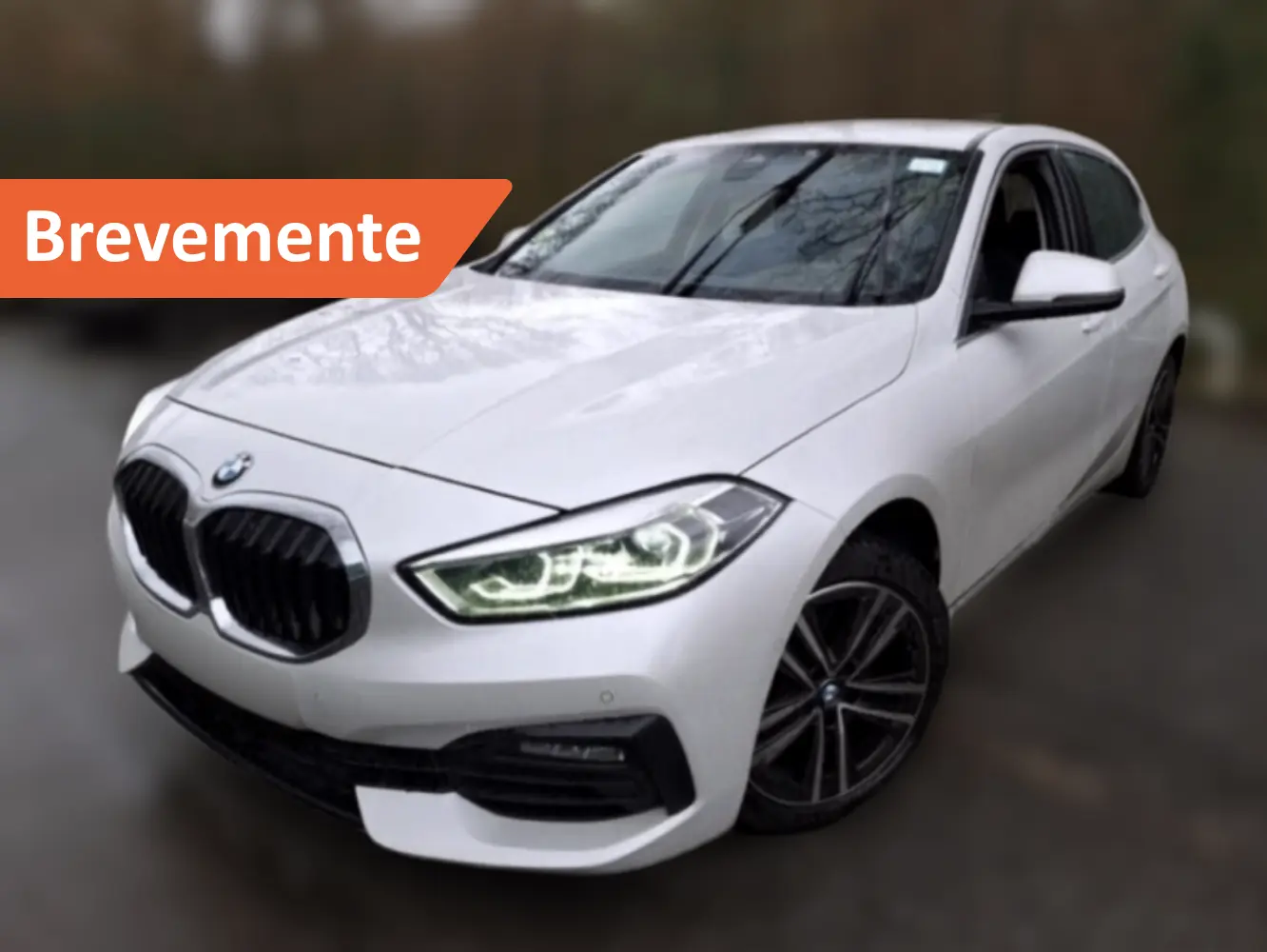 BMW 116 BUSINESS DESIGN 1
