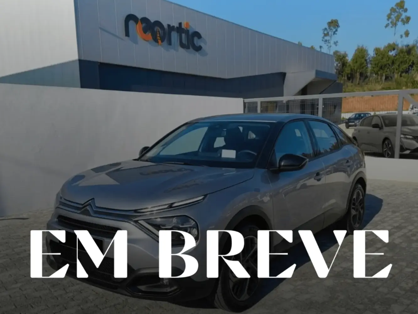 Citroen C4 PureTech Stop & Start Shine 131 CV 1
