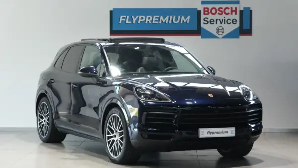 Porsche Cayenne E-Hybrid Platinum Edition 12