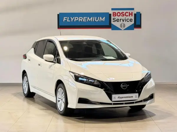 Nissan Leaf 40 kWh 1
