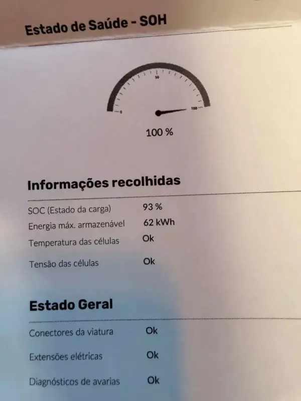Nissan Leaf 40 kWh 19