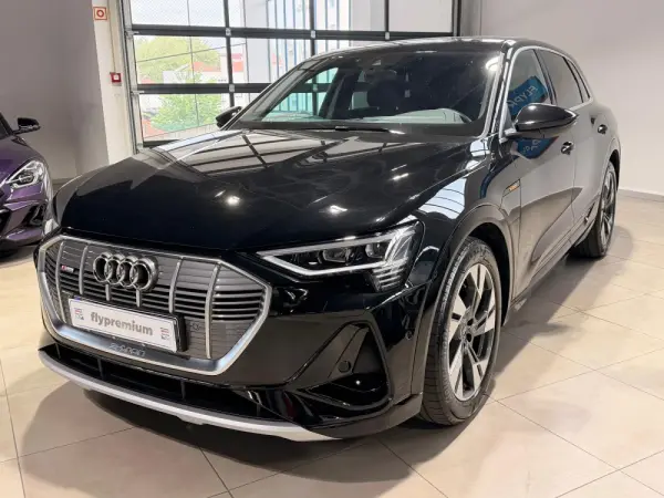 Audi e-tron 55 quattro S line 23