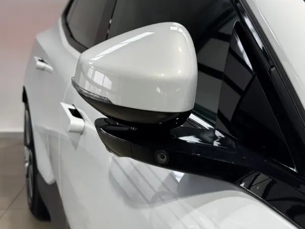 Polestar 4 Long Range 100 kWh Single Motor Plus 38