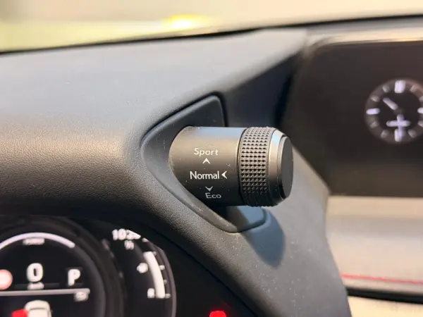 Lexus UX 250h F Sport 31