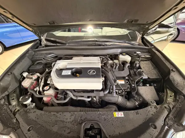 Lexus UX 250h F Sport 33