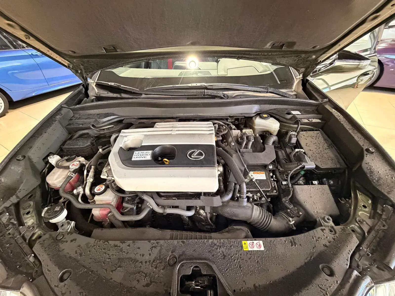 Lexus UX 250h F Sport 33