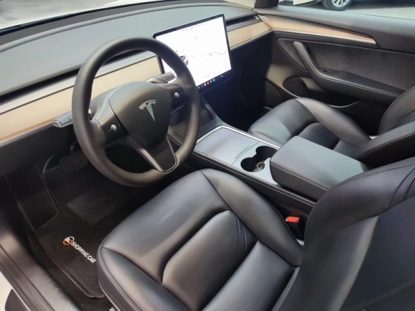 Tesla Model 3 20