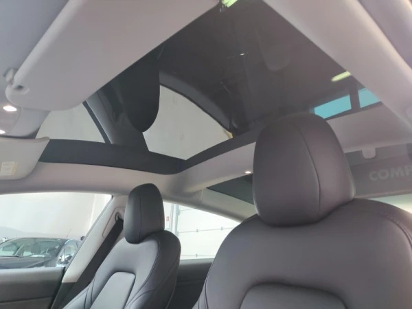 Tesla Model 3 29