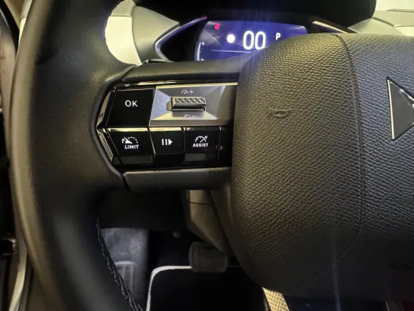 DS DS3 Crossback PureTech 100 PERFORMANCE LINE 19