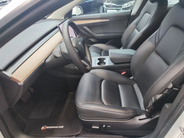 Tesla Model 3 21