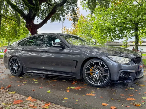 BMW 420 Gran Coupé d xDrive Auto 9
