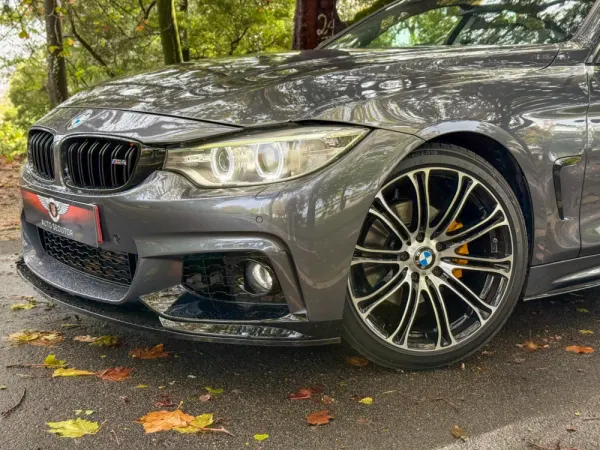 BMW 420 Gran Coupé d xDrive Auto 2