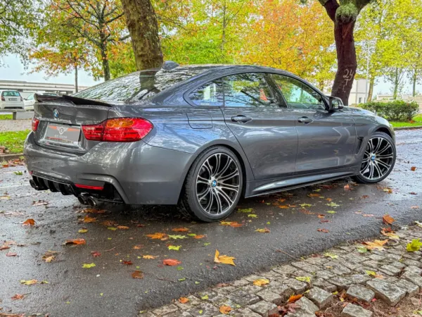 BMW 420 Gran Coupé d xDrive Auto 12