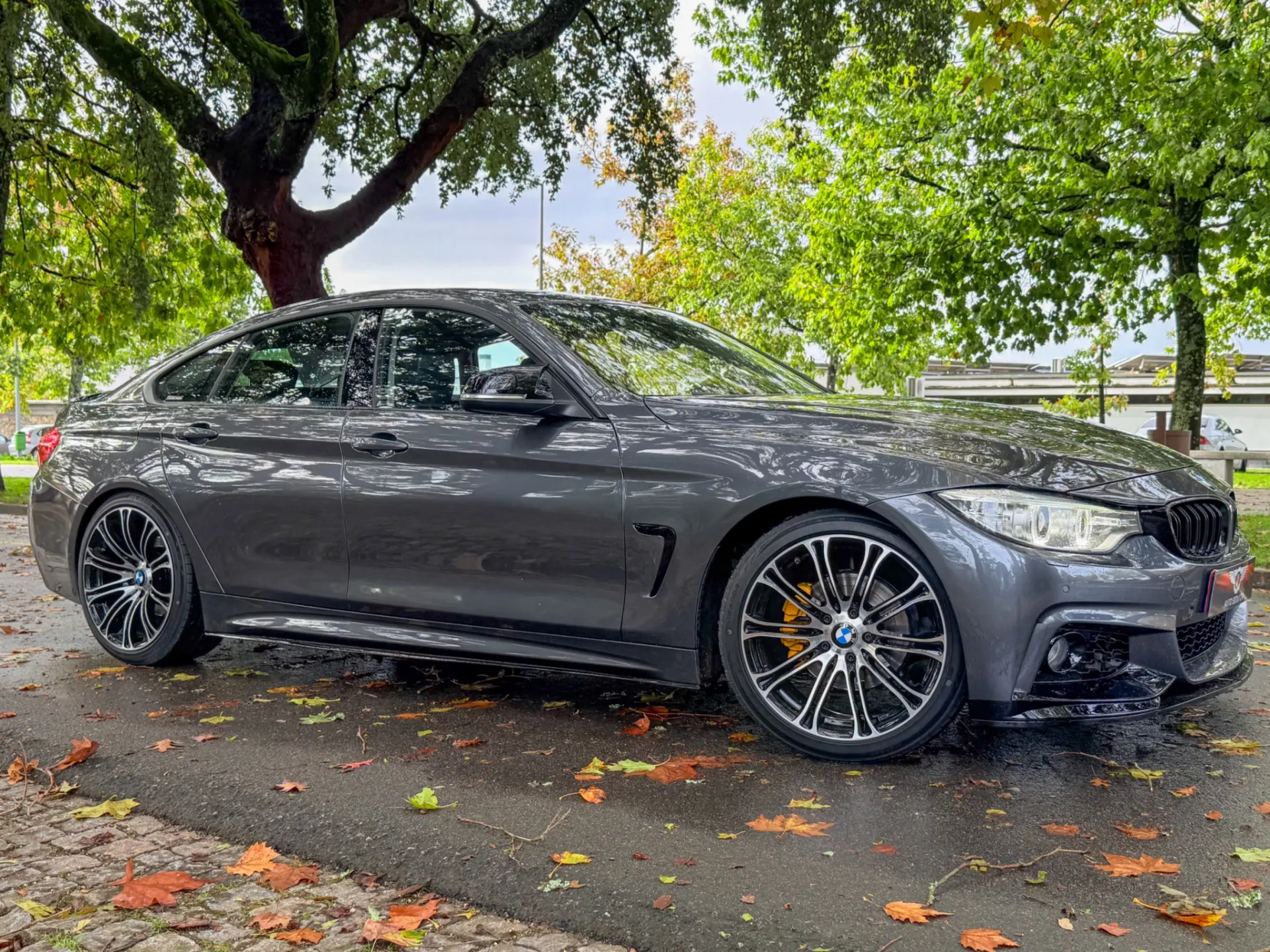 BMW 420 Gran Coupé d xDrive Auto 9