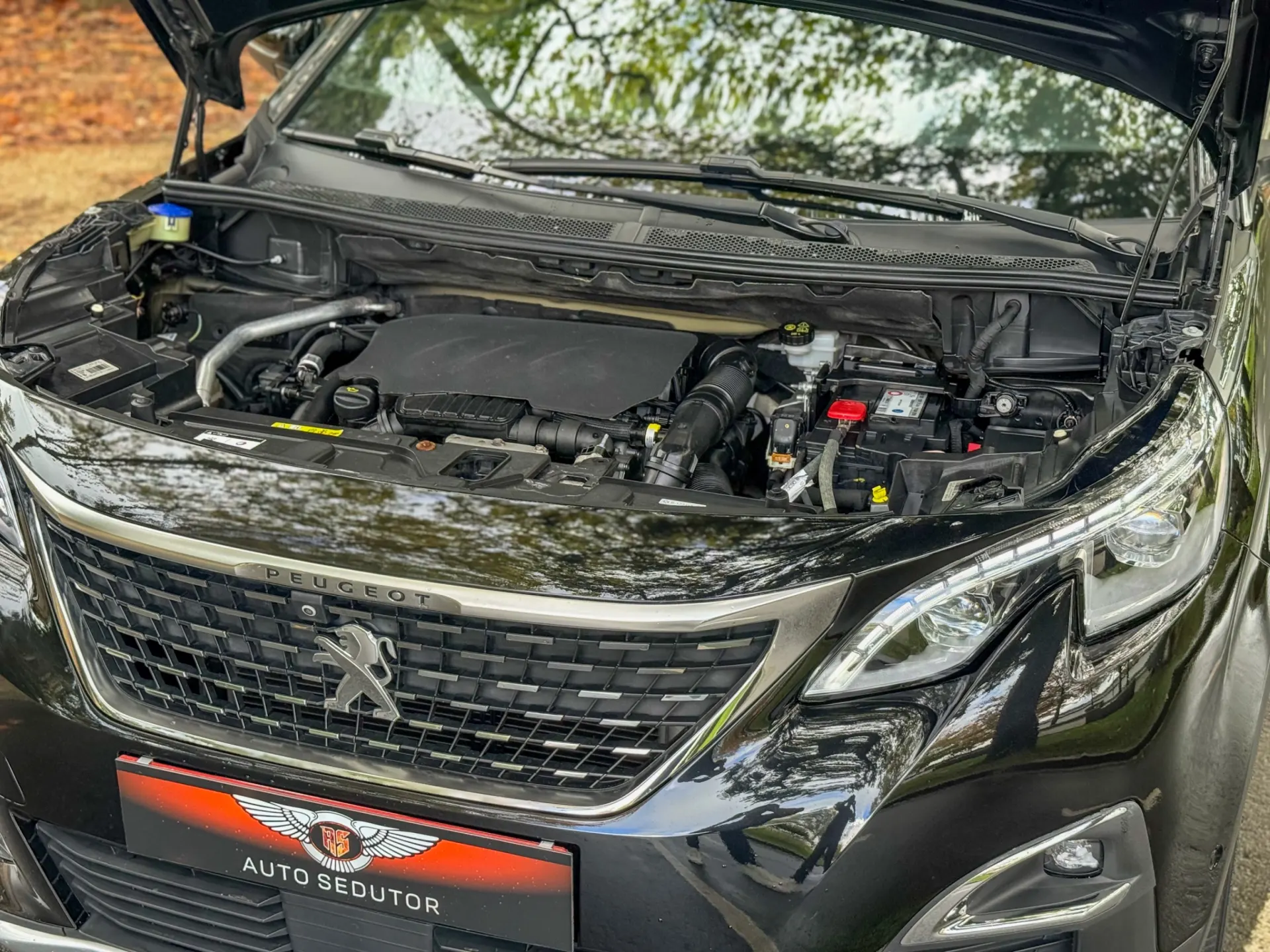Peugeot 3008 1.2 PureTech GT Line 4