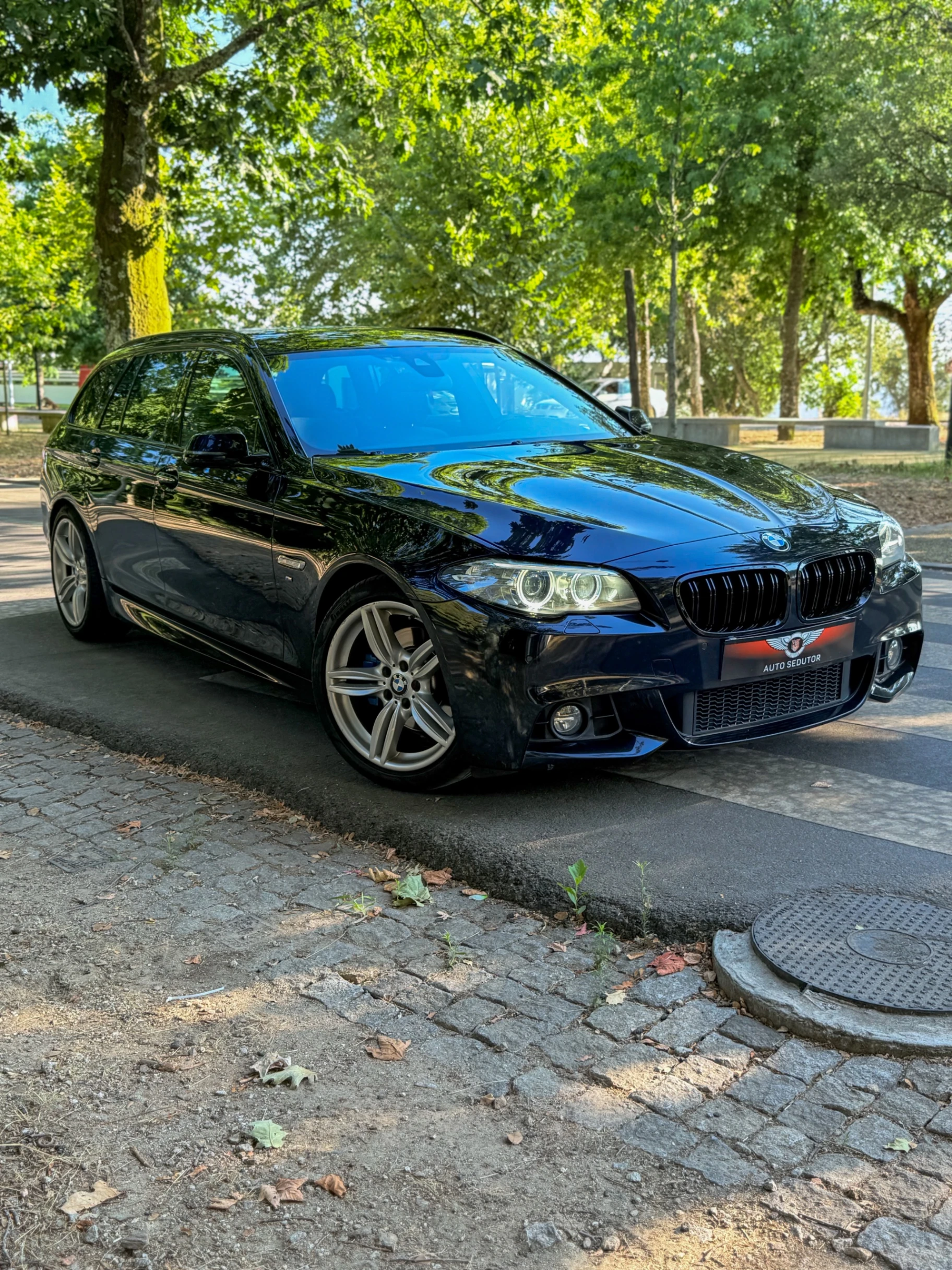 BMW 520 d Pack M Auto 4