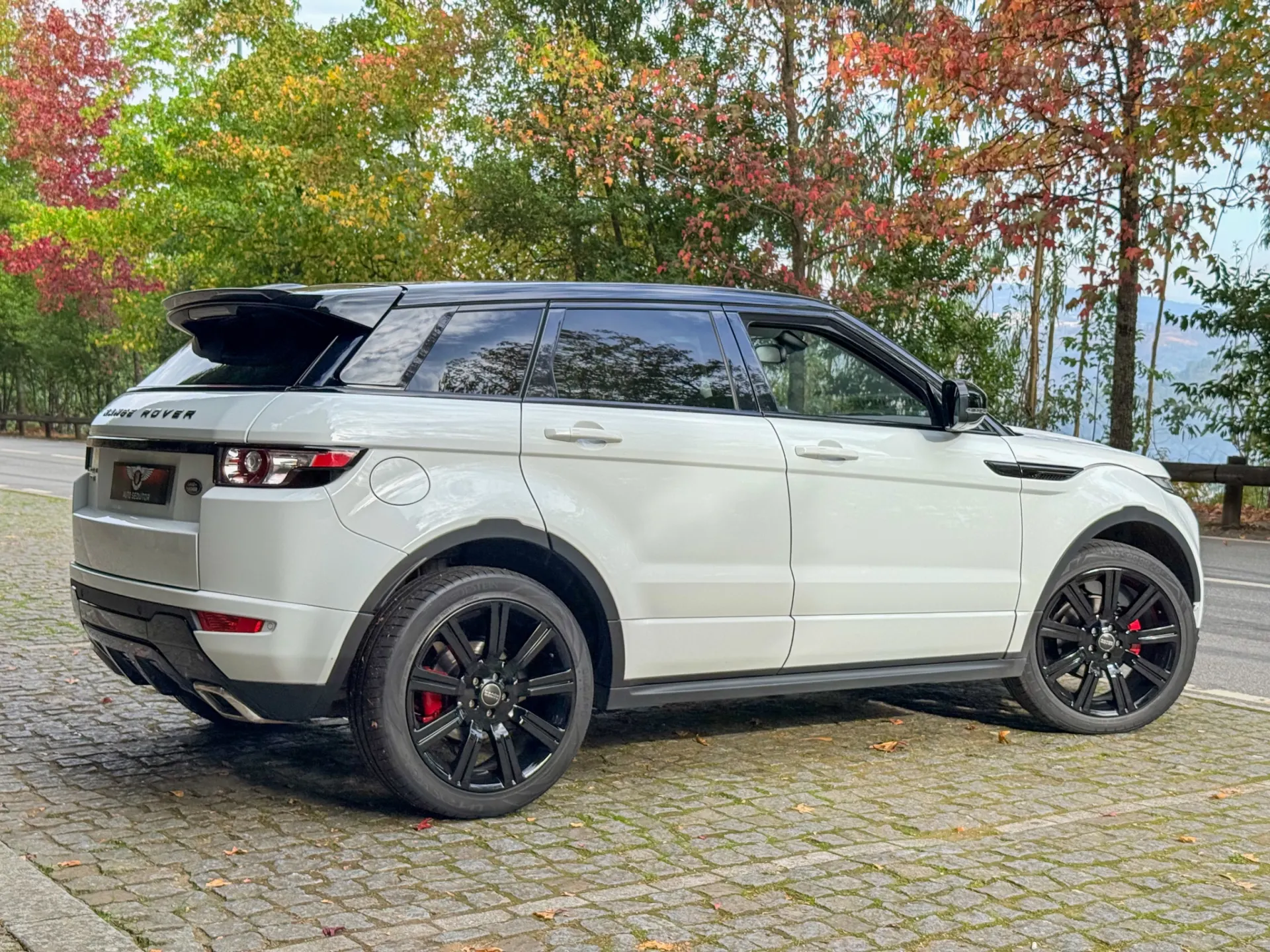 Land Rover Range Rover Evoque 2.2 DW12C Dynamic Auto 6