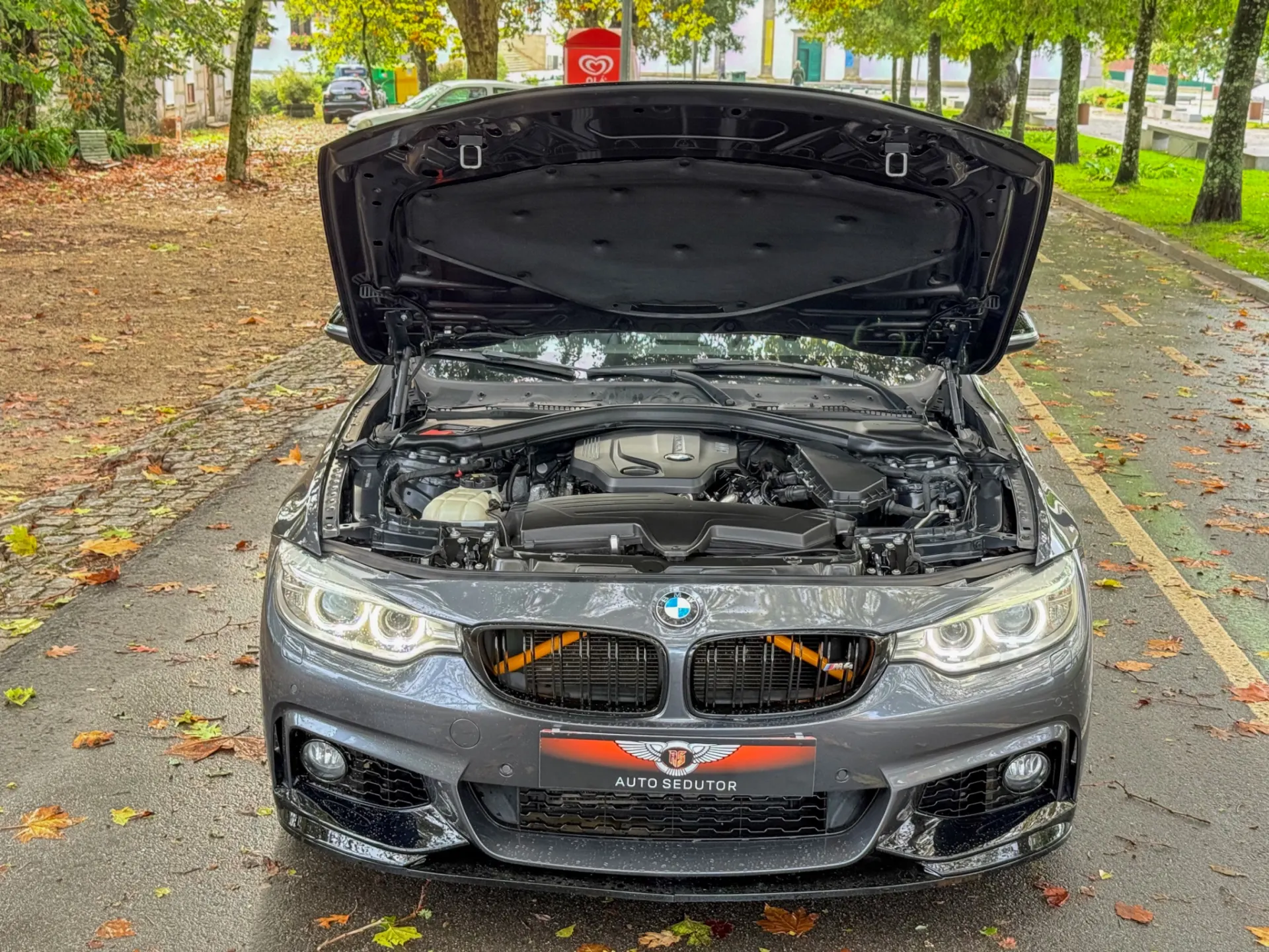 BMW 420 Gran Coupé d xDrive Auto 5