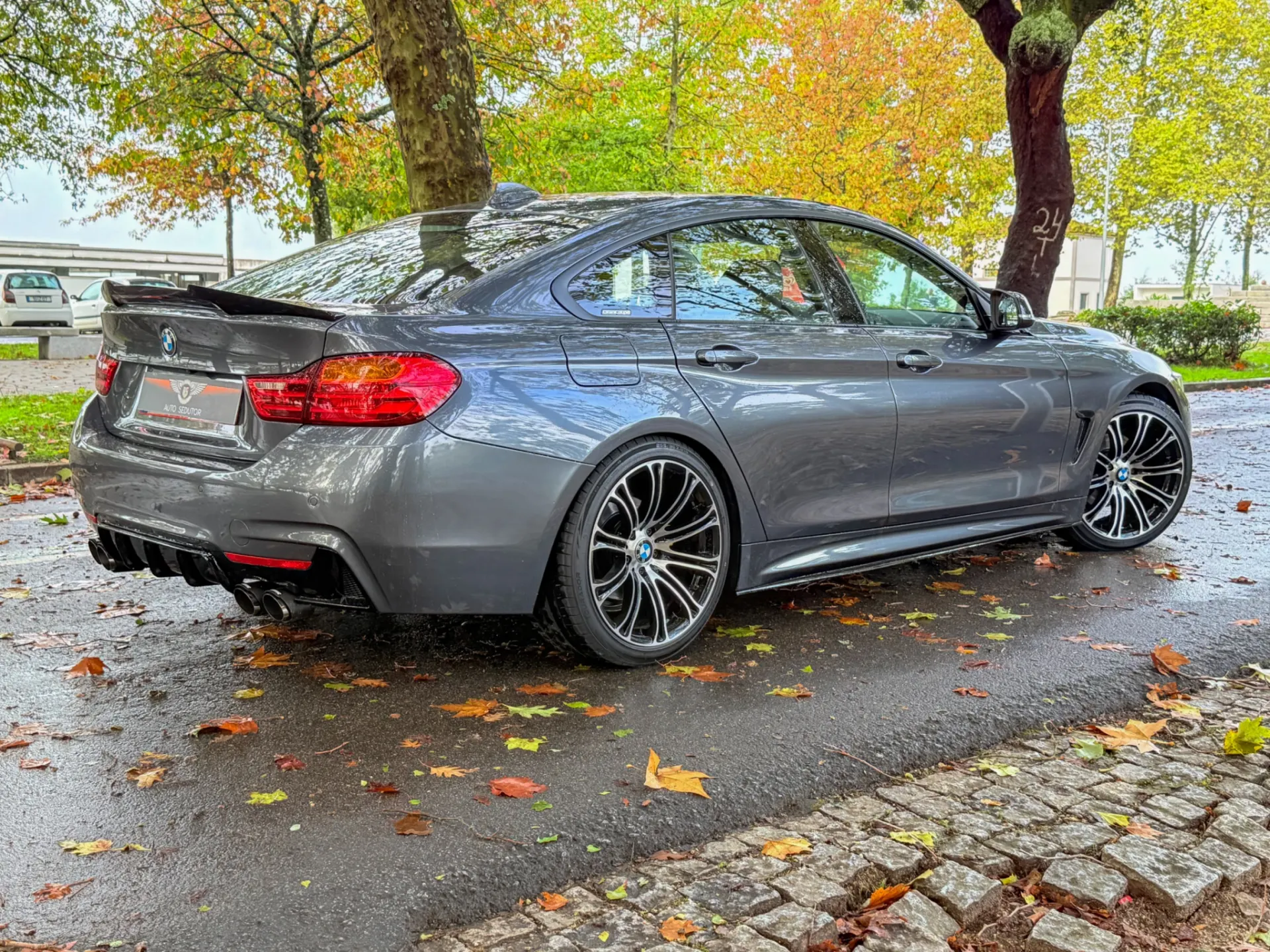 BMW 420 Gran Coupé d xDrive Auto 12