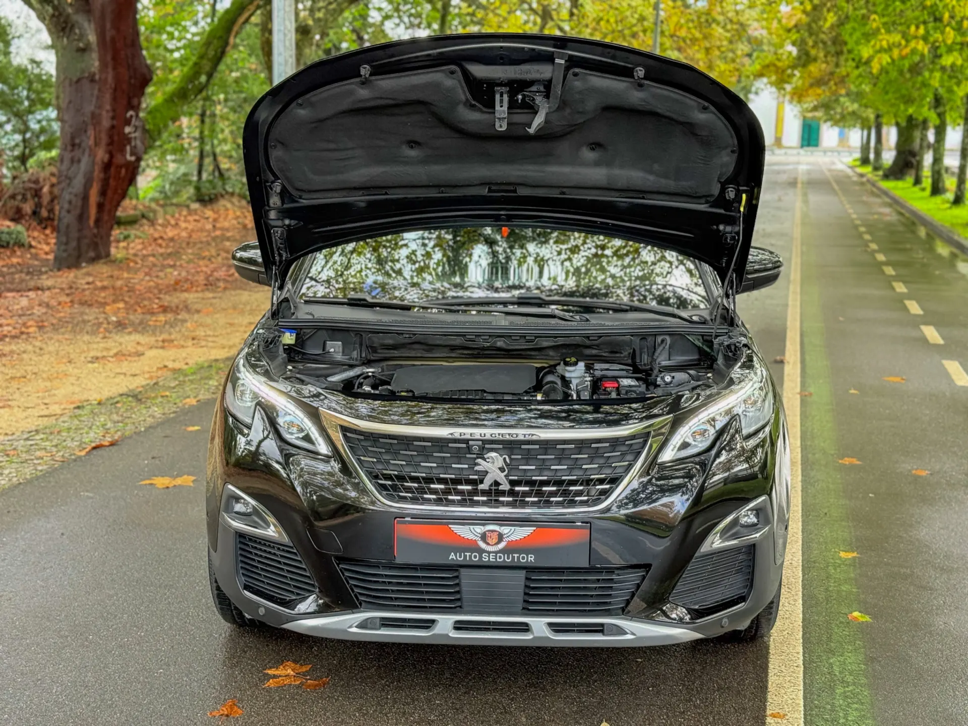 Peugeot 3008 1.2 PureTech GT Line 5