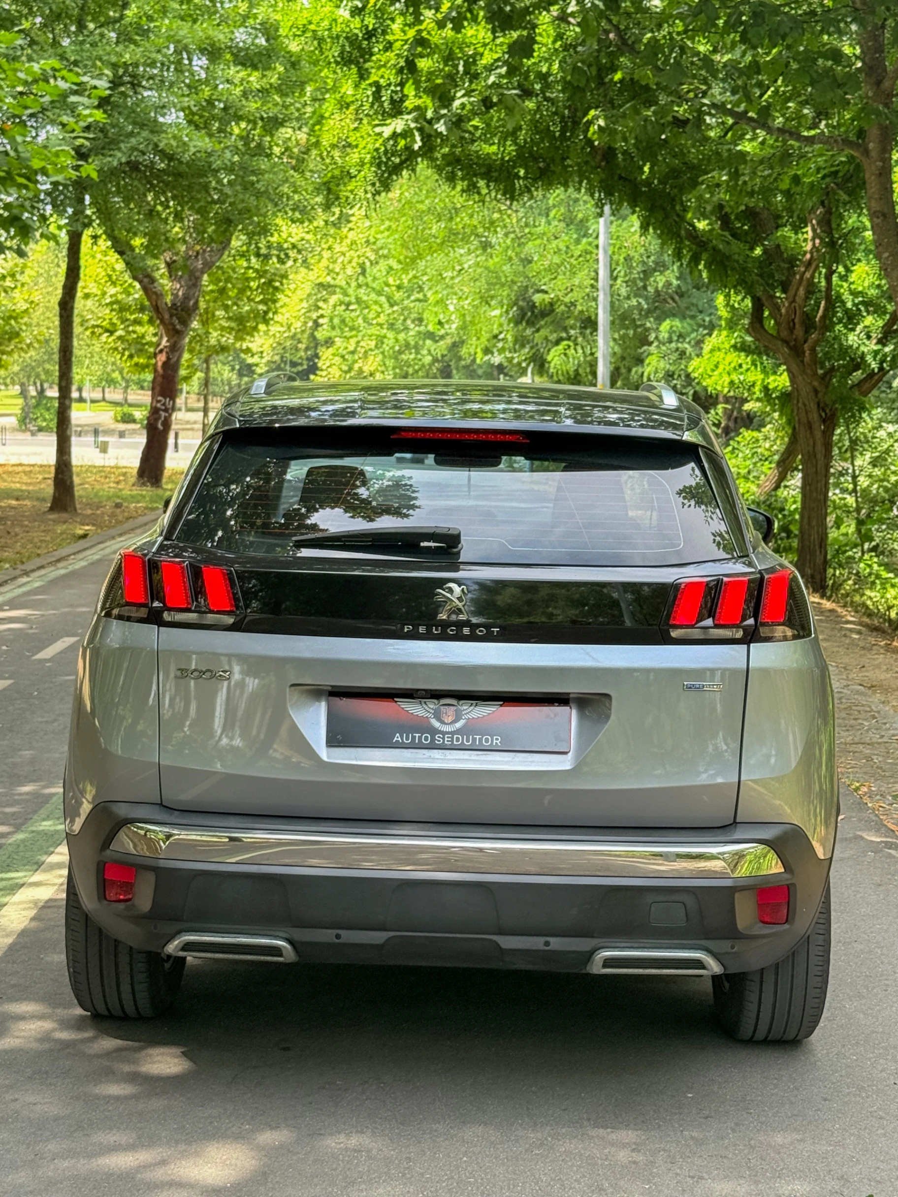 Peugeot 3008 ALLURE 6