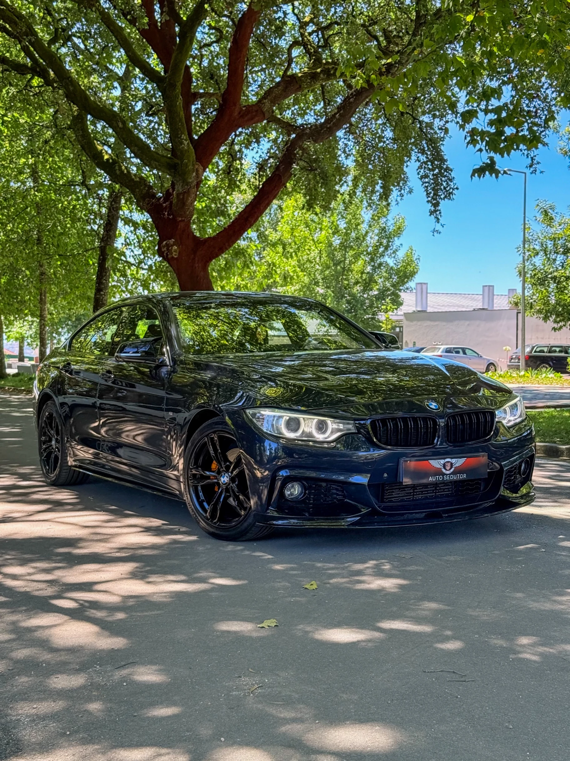 BMW 420 Gran Coupé d Pack M Auto 26