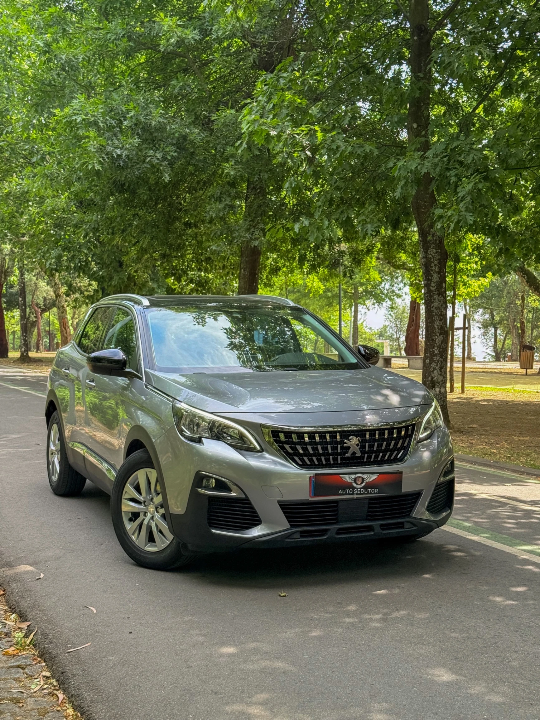 Peugeot 3008 ALLURE 2
