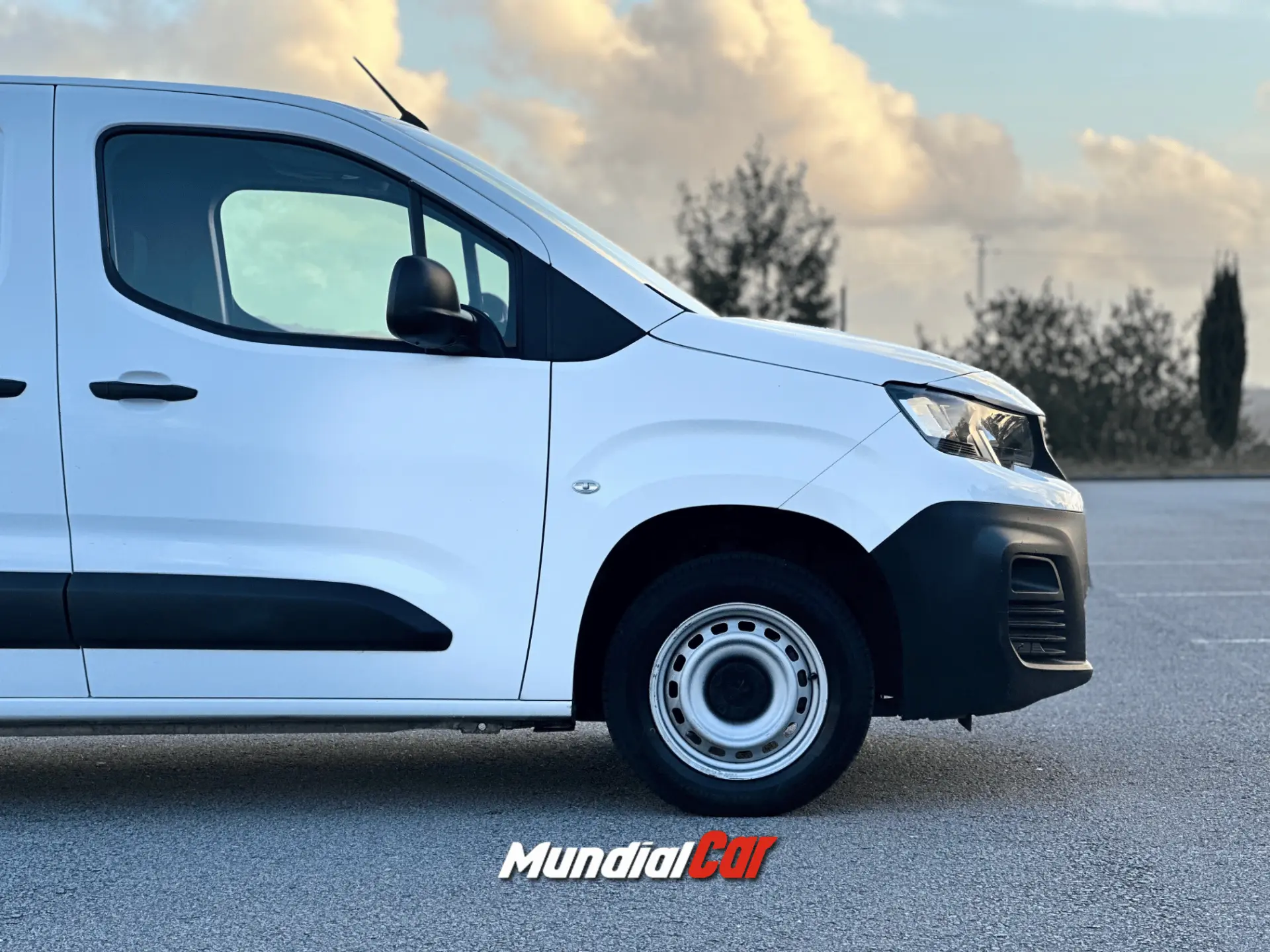 Peugeot Partner 1.6 BlueHDi Standard Pro 13