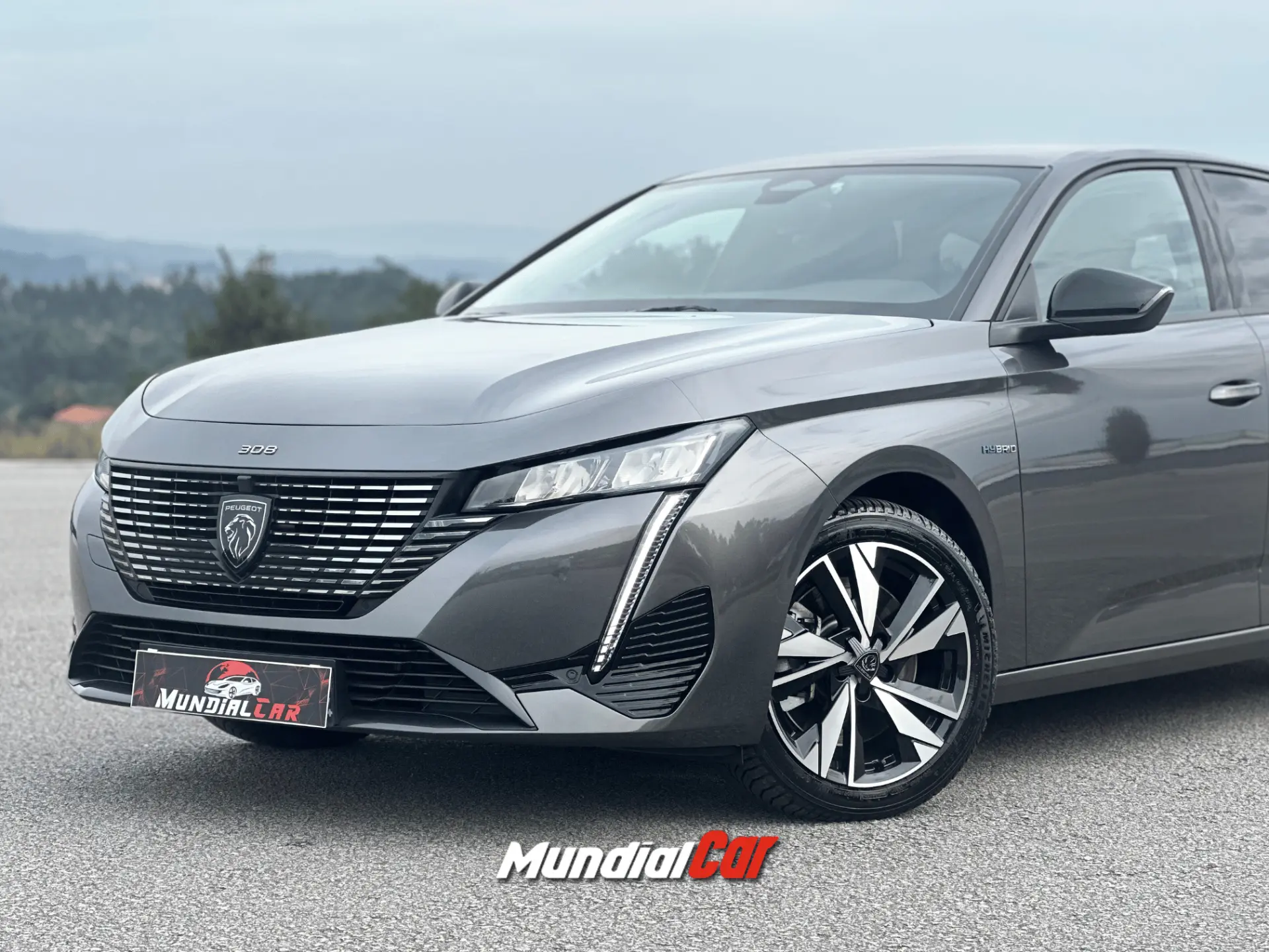 Peugeot 308 SW 1.6 Hybrid Allure e-EAT8 18