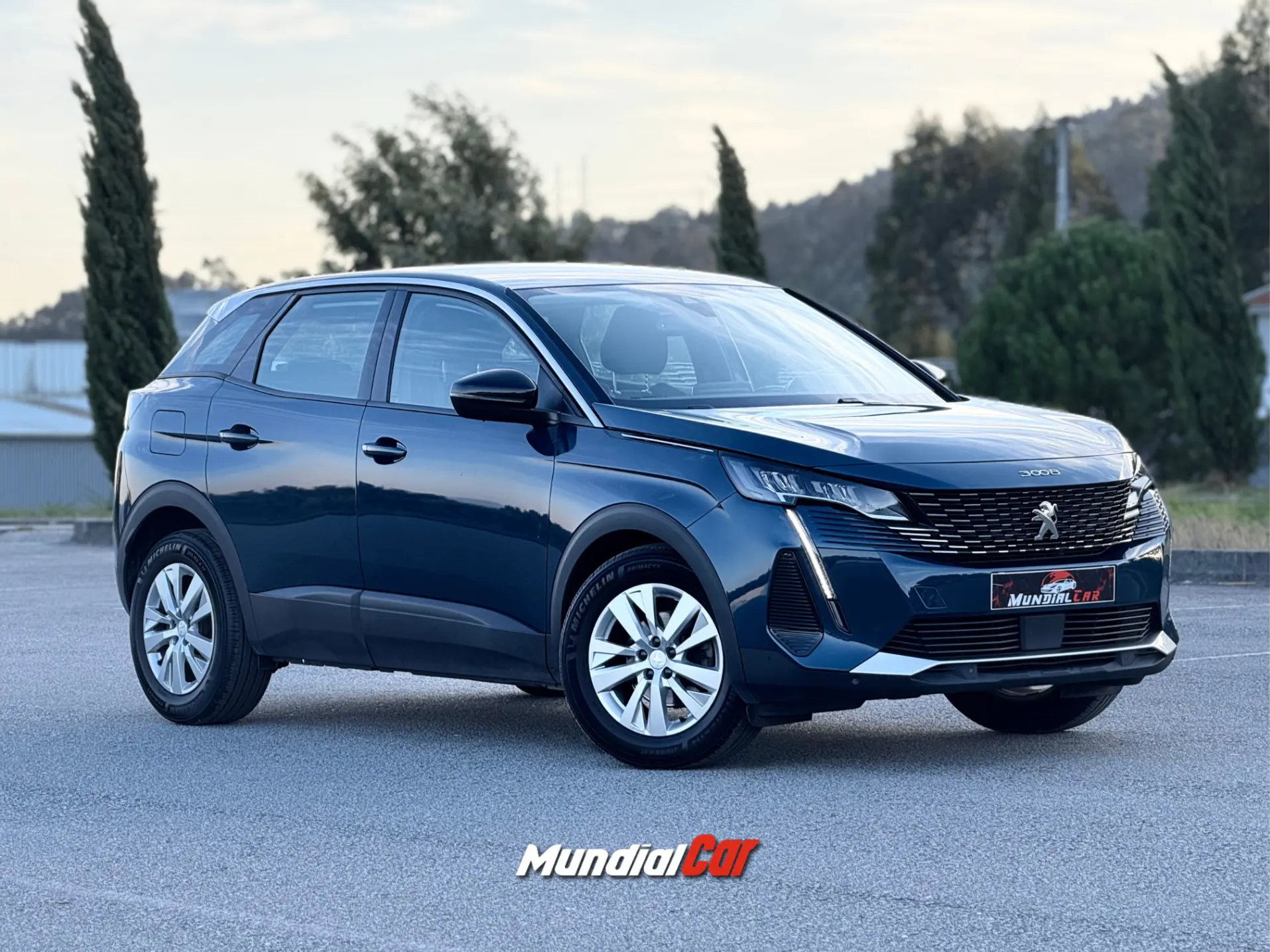 Peugeot 3008 1.5 BlueHDi Active Pack 11