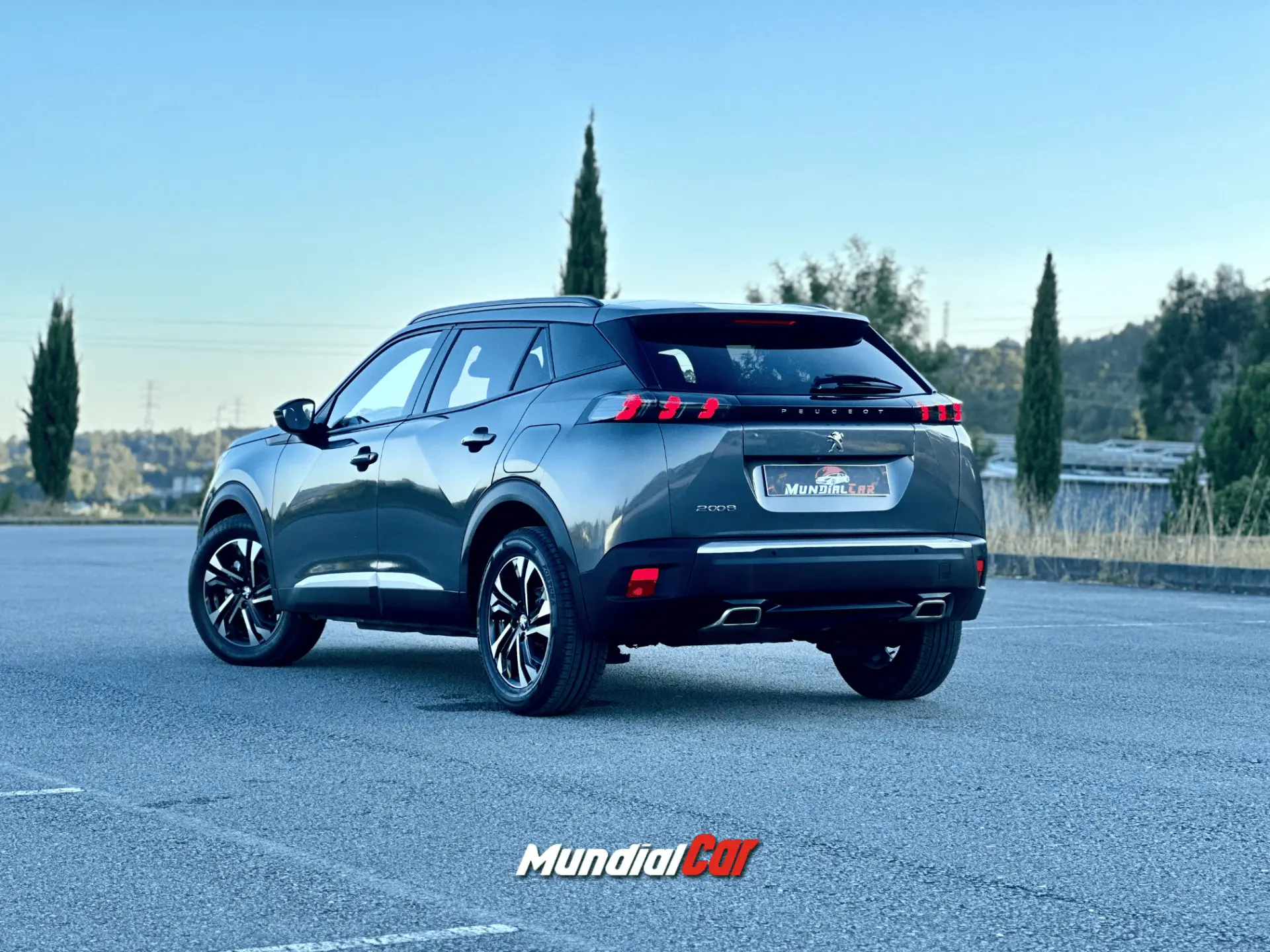 Peugeot 2008 1.2 PureTech Allure EAT8 12