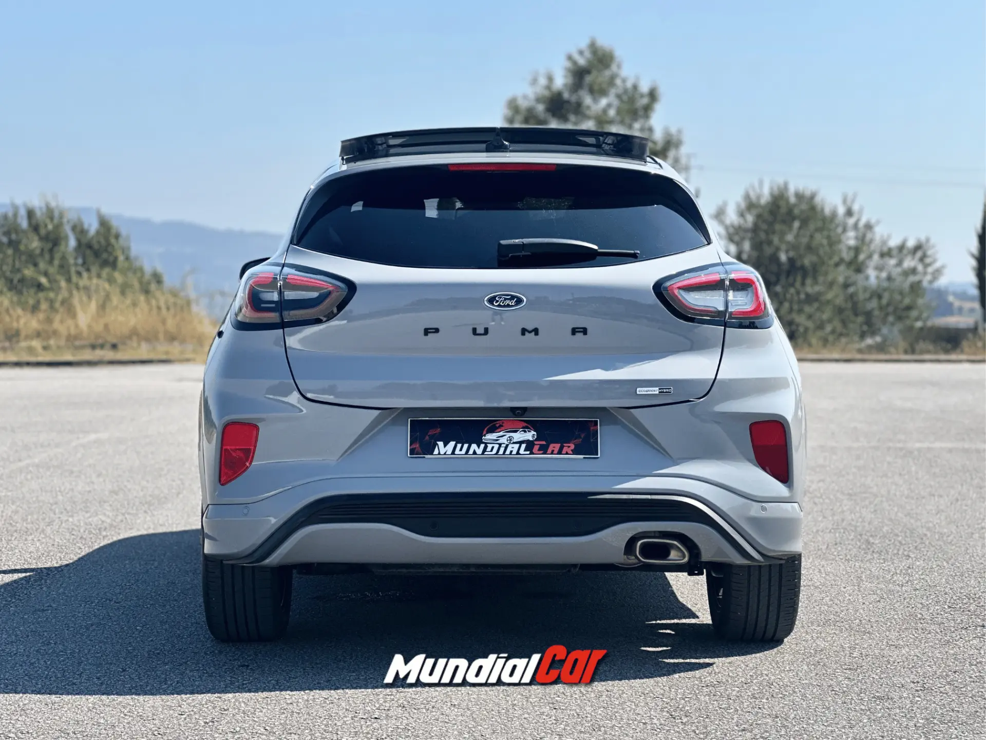Ford Puma 1.0 EcoBoost Hybrid ST-LINE X 5