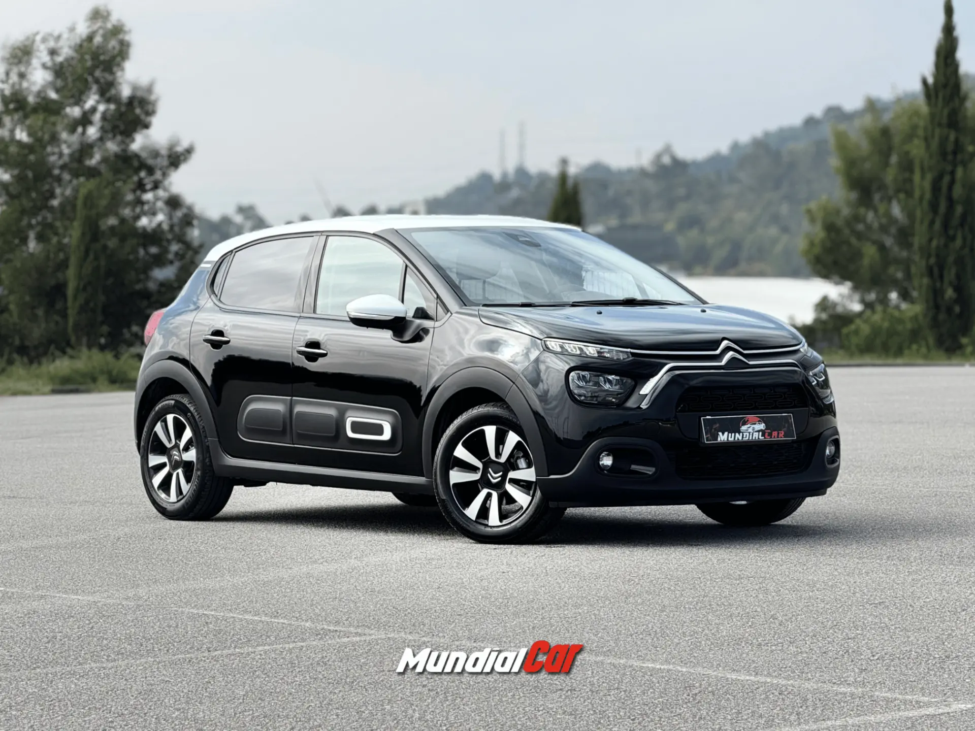 Citroen C3 1.2 PureTech Shine 11